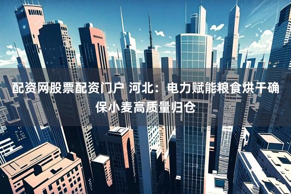 配资网股票配资门户 河北：电力赋能粮食烘干确保小麦高质量归仓