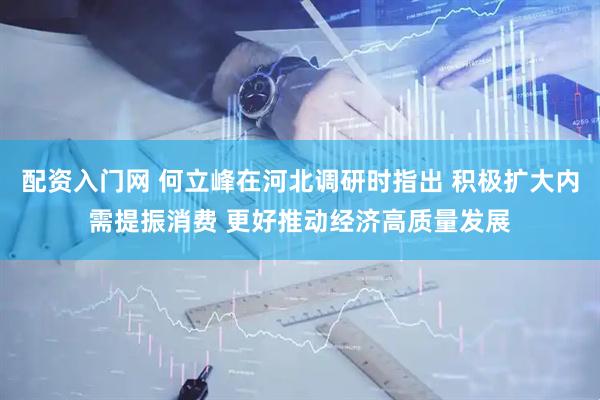 配资入门网 何立峰在河北调研时指出 积极扩大内需提振消费 更好推动经济高质量发展